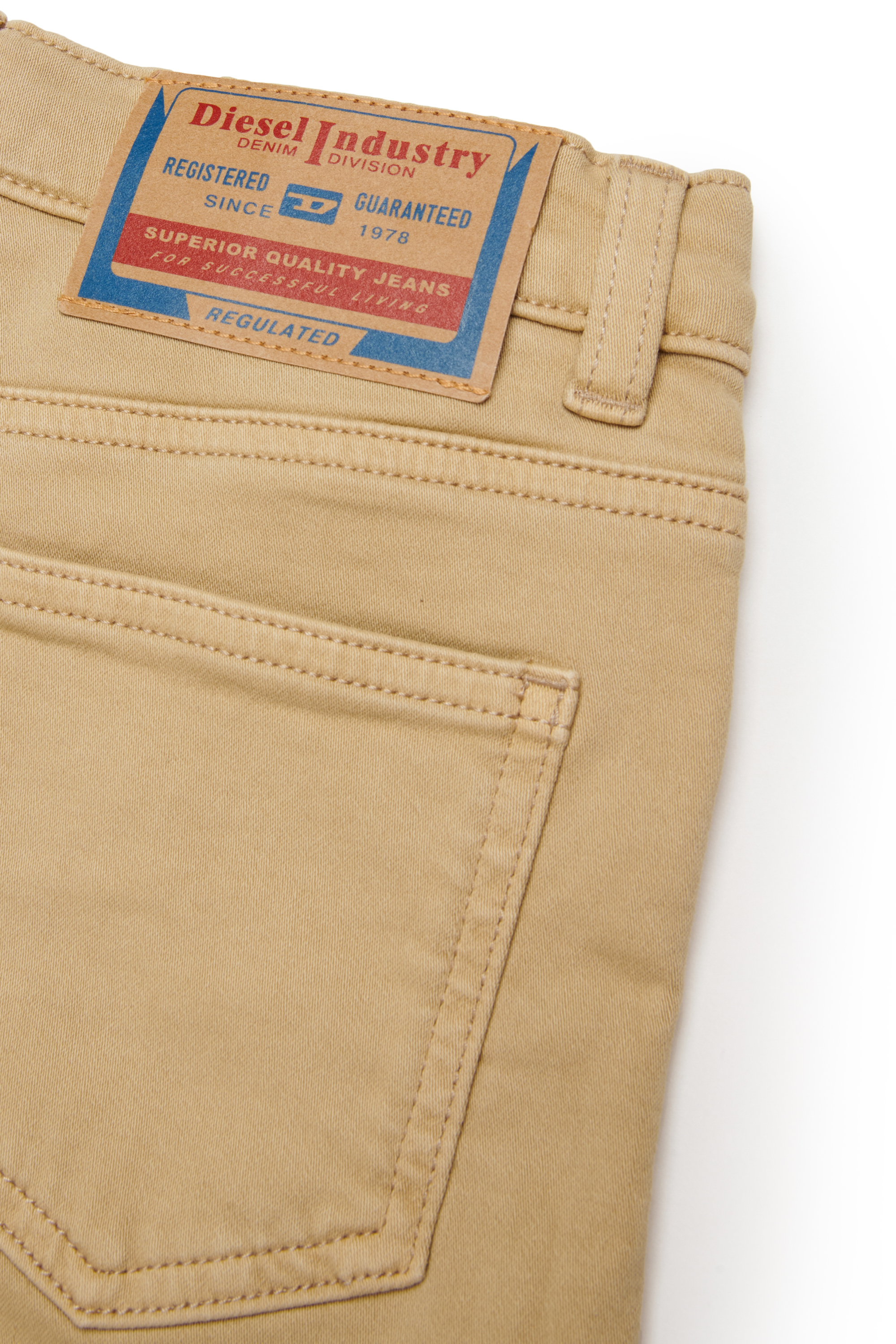 Diesel - D-MACS-SH-J JJJ, Man's Shorts in coloured denim in Light Brown - 4