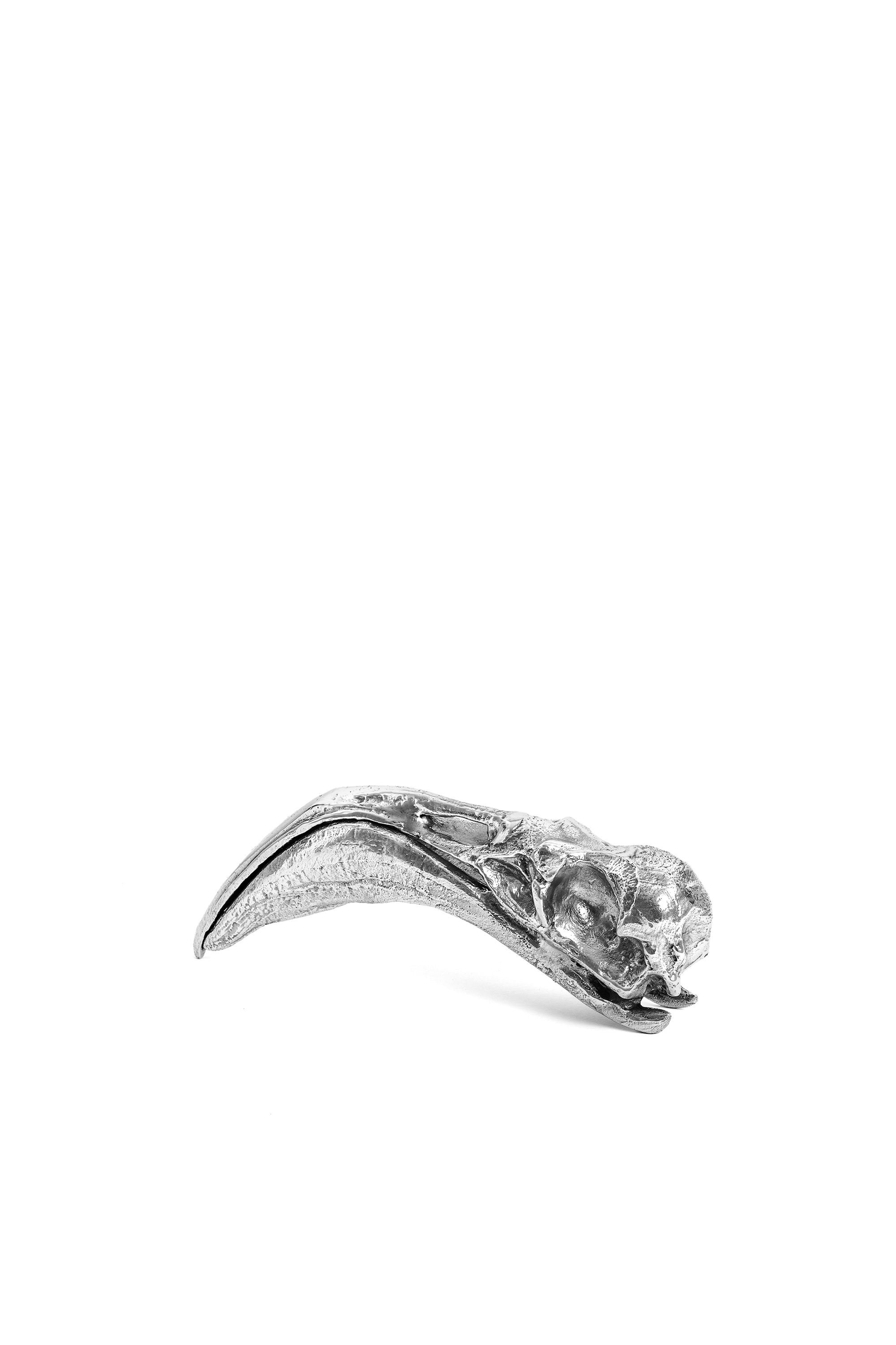 Diesel - 10898 WUNDERKAMMER, Unisex's Wunderkammer "Flamingo Skull" in Silver - 3